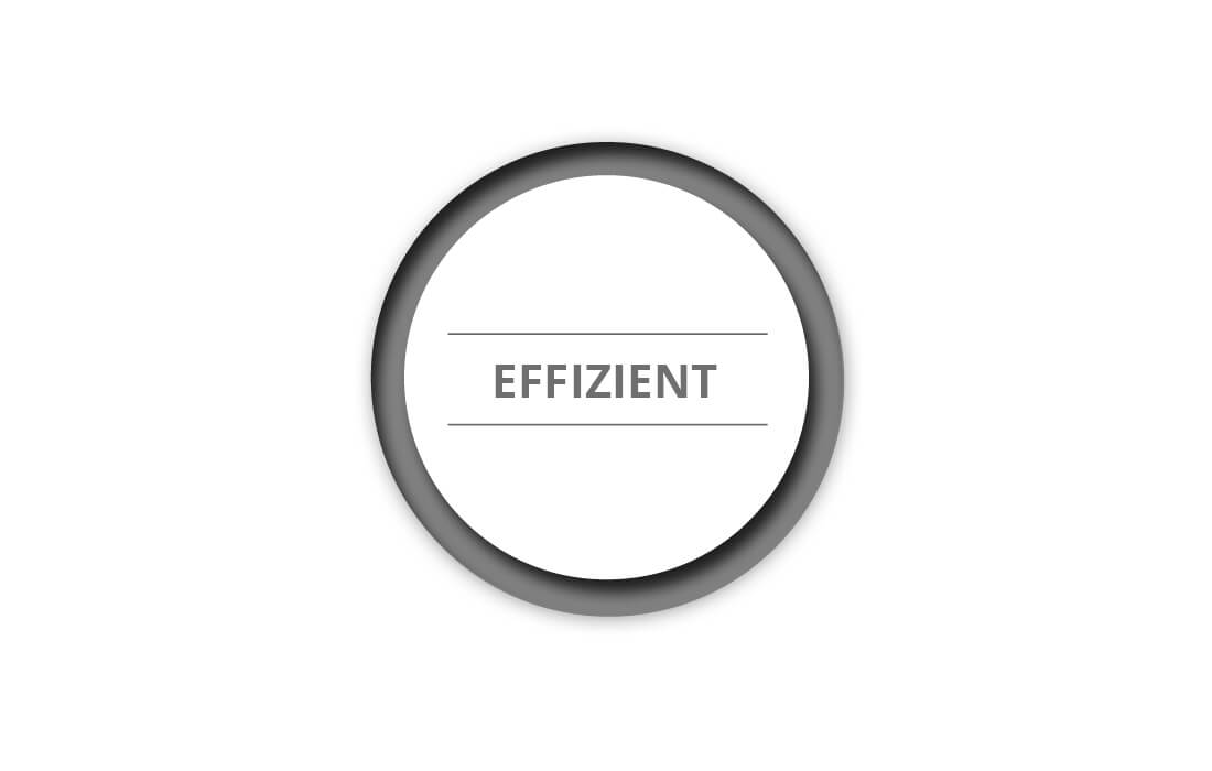 Ein Kreis mit dem Schriftzug "Effizient" im Inneren.